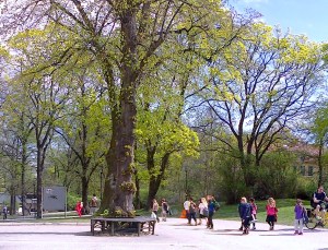 De nya invånarna vid en av ingångarna på flyglarna