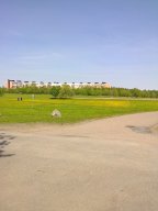 Utsikt från skolan på baksidan