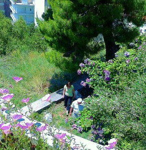 Inspektion av trädgården och dess pågående arbeten....