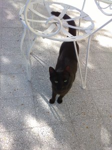 Snälla, det doftar så gott