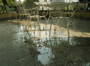 Spåren efter ett kort men härligt regn.