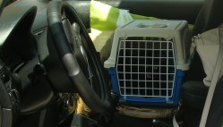 Kali som inte hade den blekaste .... 