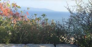 Foto: Petra Lundberg Bouquelon