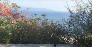 Petra Lundberg Bouquelon